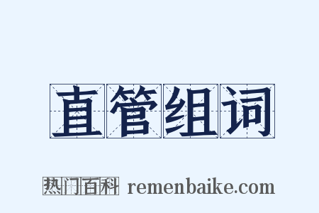 直管组词是什么意思的图片